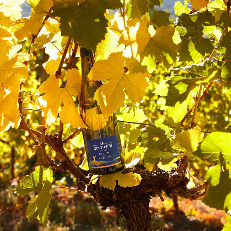 Riesling Exception