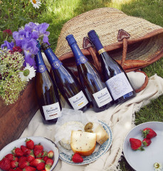 10 bouteilles à avoir dans sa cave à vin