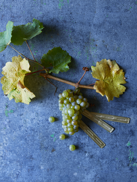 Riesling
	                        