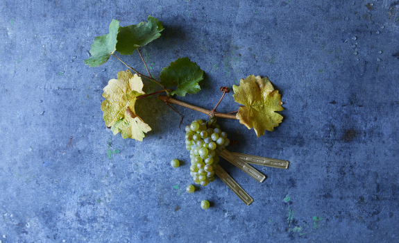 Riesling
						        
