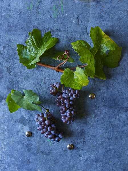 Pinot Gris