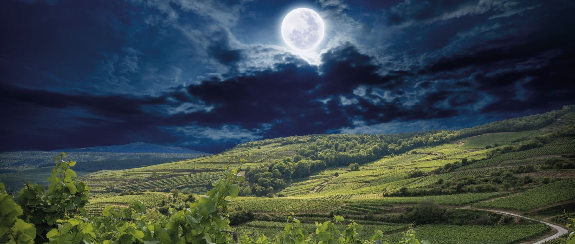 chasseurs-de-lune